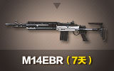 M14EBR