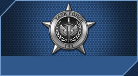 141特遣队员徽章