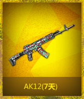 AK12(7)