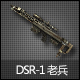 DSR-1 ϱ7죩