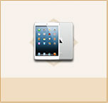 iPad mini2